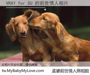 VRAY for SU 的前世情人