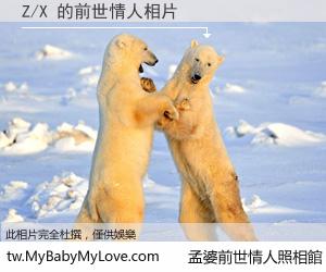 Z/X 的前世情人
