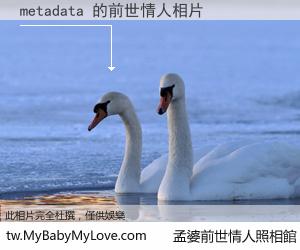 metadata 的前世情人