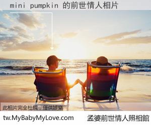 mini pumpkin 的前世情人