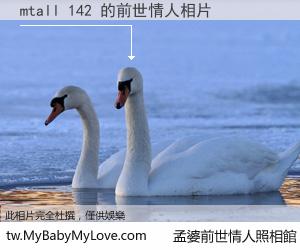 mtall 142 的前世情人