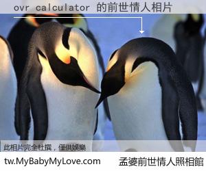 ovr calculator 的前世情人