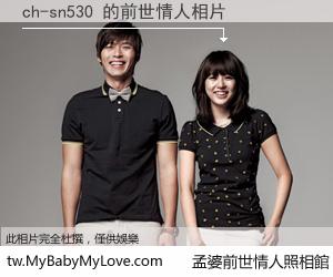 ch-sn530 的前世情人