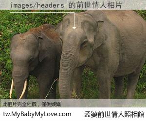 images/headers 的前世情人