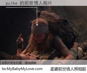 pulke 的前世情人