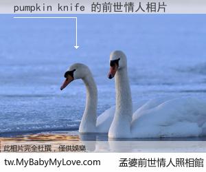 pumpkin knife 的前世情人