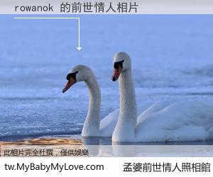 rowanok 的前世情人