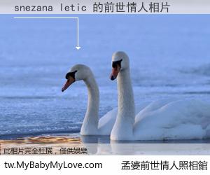snezana letic 的前世情人