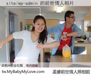 site/wp-admin 的前世情人