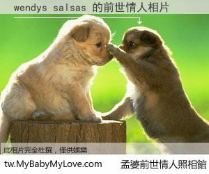 wendys salsas 的前世情人
