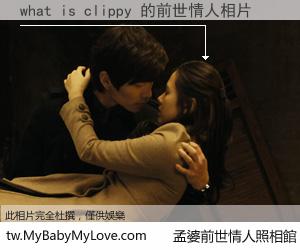 what is clippy 的前世情人