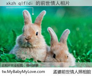 xkzh qlfldi 的前世情人