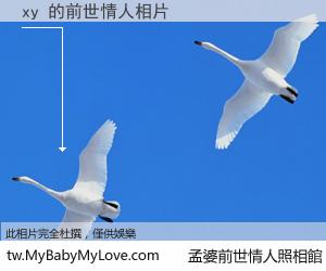 xy 的前世情人