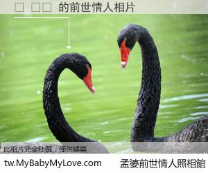 츄 밝기 的前世情人