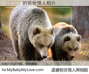 좌상향 的前世情人