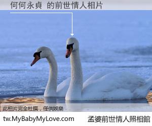 何何永貞 的前世情人