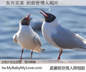 东方买卖 的前世情人