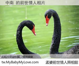 中南 的前世情人