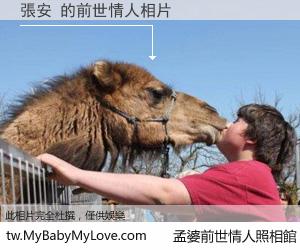 張安 的前世情人