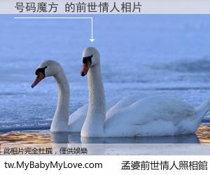 号码魔方 的前世情人