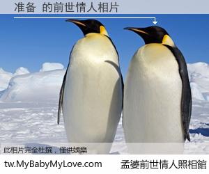 准备 的前世情人