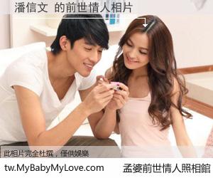 潘信文 的前世情人