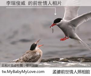 李瑞俊威 的前世情人