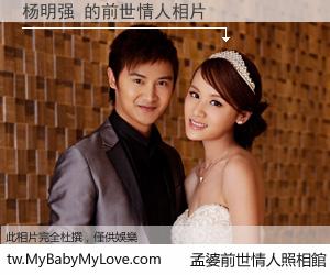 杨明强 的前世情人