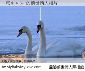 穹キャス 的前世情人