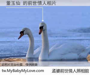 董玉仙 的前世情人