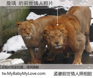 詹瑀 的前世情人