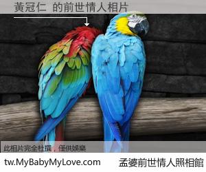 黃冠仁 的前世情人