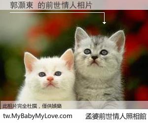 郭灝東 的前世情人