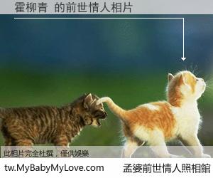 霍柳青 的前世情人