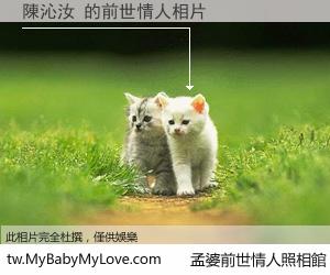 陳沁汝 的前世情人