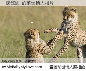 陳懿迪 的前世情人