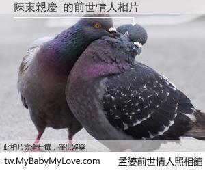 陳東親慶 的前世情人