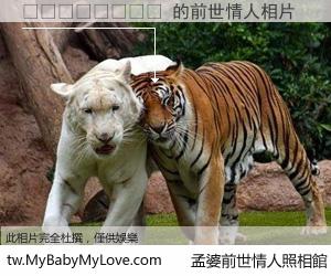 🇭🇹 的前世情人