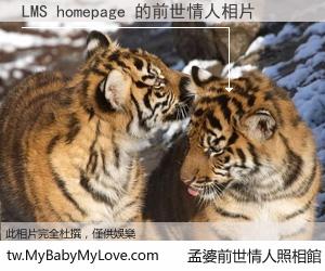 LMS homepage 的前世情人