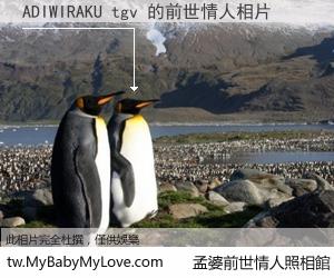 ADIWIRAKU tgv 的前世情人