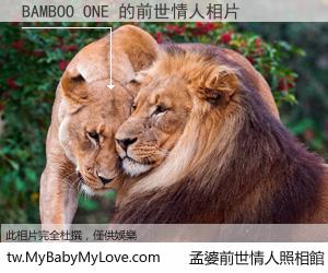 BAMBOO ONE 的前世情人