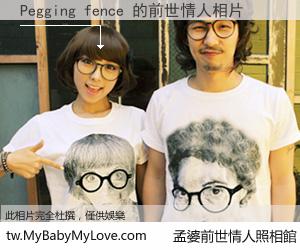 Pegging fence 的前世情人