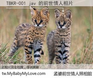 TBKR-001 jav 的前世情人