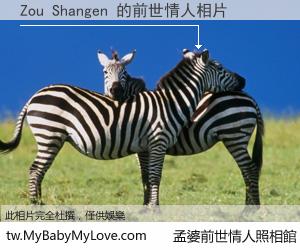Zou Shangen 的前世情人