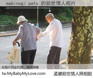 mabinogi pets 的前世情人