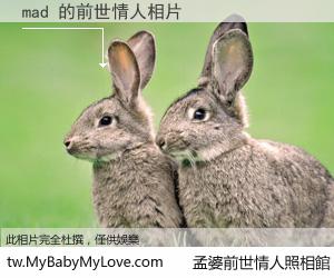 mad 的前世情人