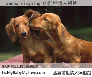 aespa ningning 的前世情人