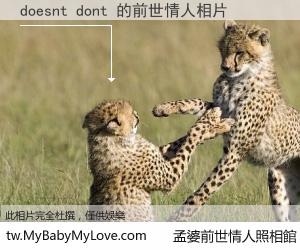 doesnt dont 的前世情人