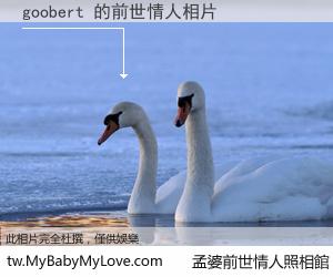 goobert 的前世情人