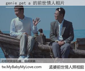 genie pet a 的前世情人